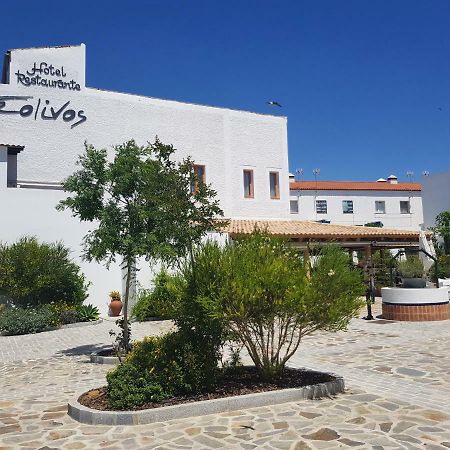 Hotel Entreolivos El Pedroso Ngoại thất bức ảnh