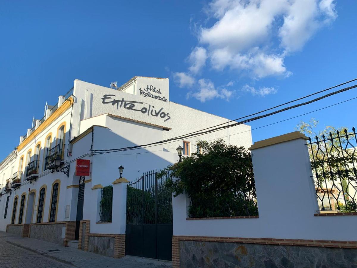 Hotel Entreolivos El Pedroso Ngoại thất bức ảnh