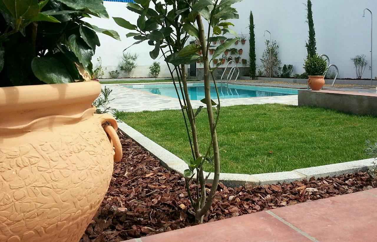 Hotel Entreolivos El Pedroso Ngoại thất bức ảnh
