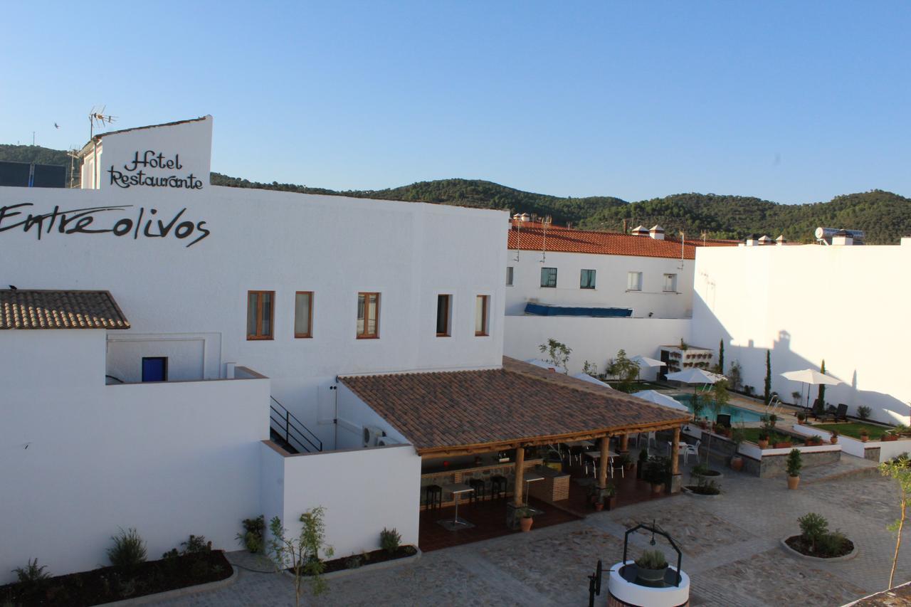 Hotel Entreolivos El Pedroso Ngoại thất bức ảnh