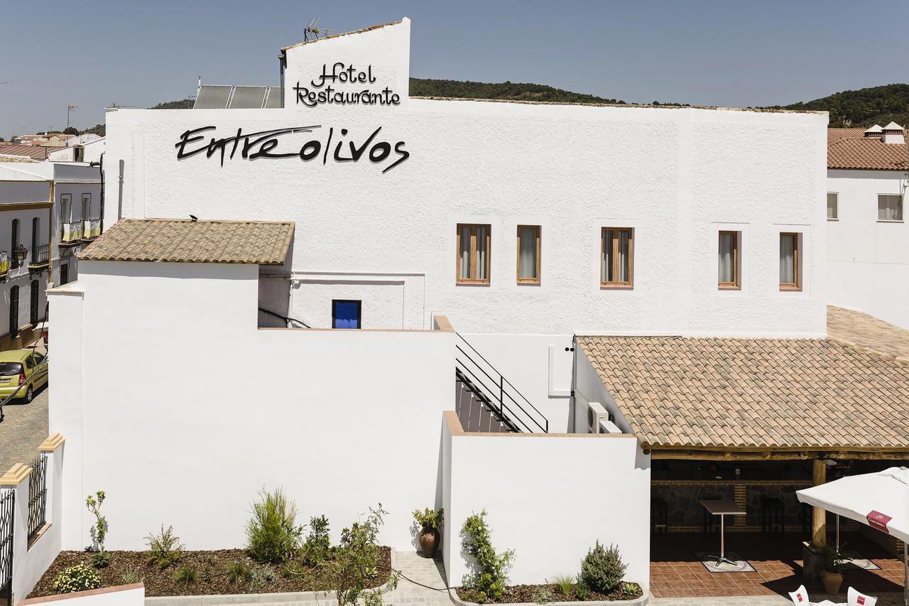 Hotel Entreolivos El Pedroso Ngoại thất bức ảnh